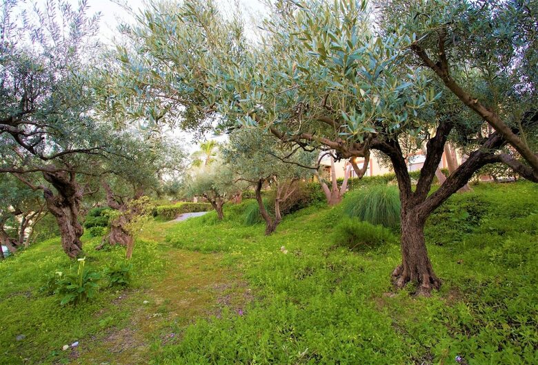 Discrete Villa Maroulas
