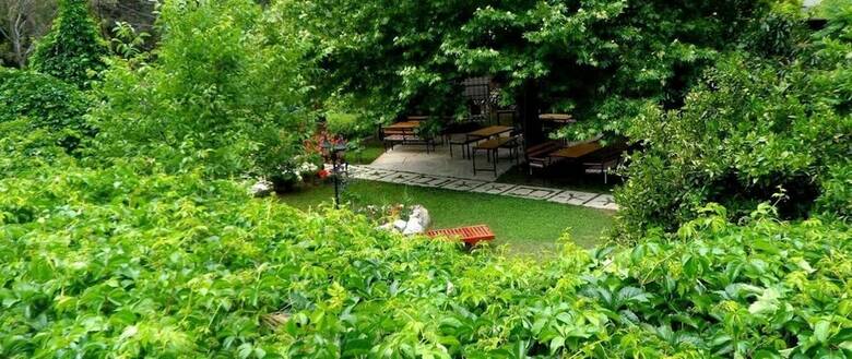 Hotel Arya Holiday Houses