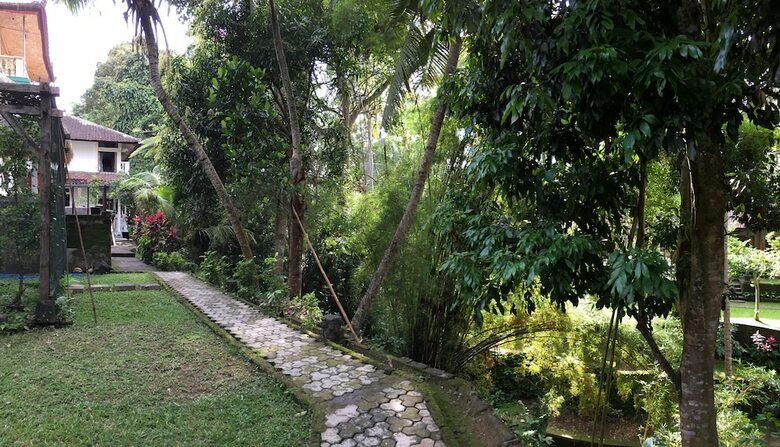 B&B Home Stay Griya Jungutan