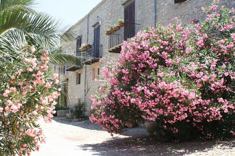 Agroturismo Ridocco Agriturismo