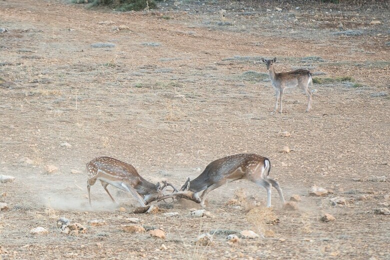 Agroturismo El Pinar de La Lobera