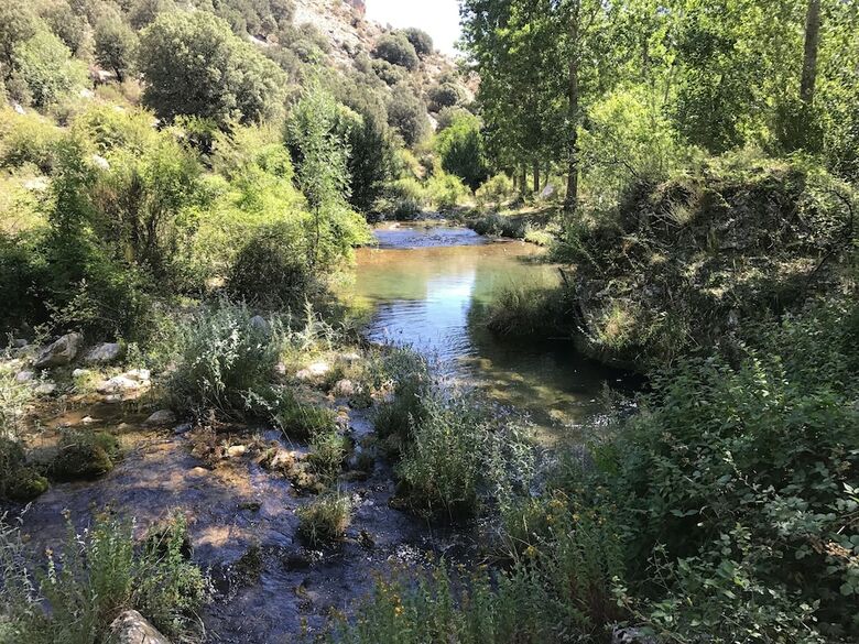 Agroturismo El Pinar de La Lobera