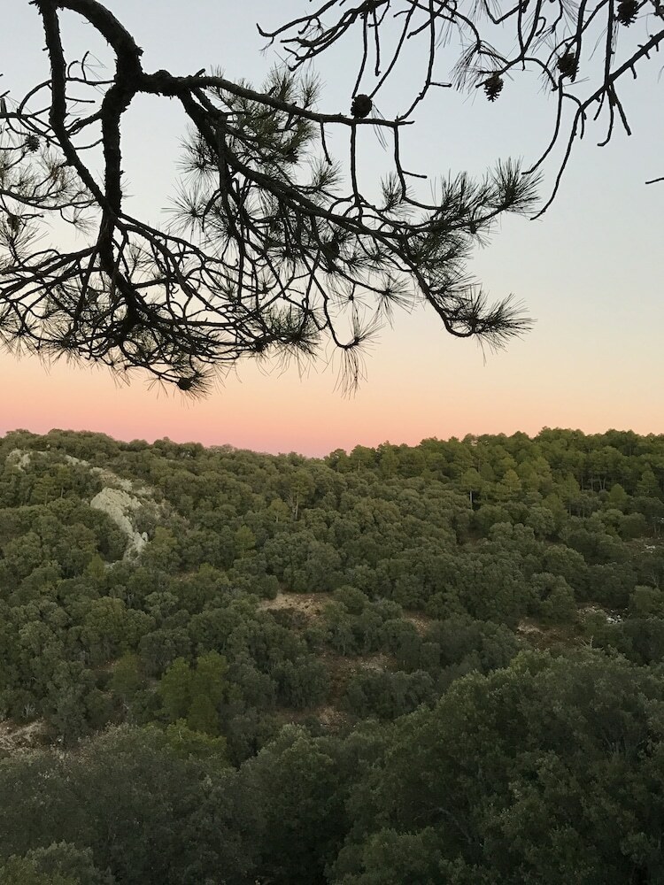 Agroturismo El Pinar de La Lobera