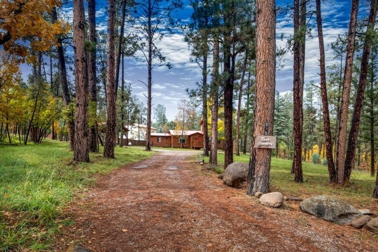 Bear Country Cabin