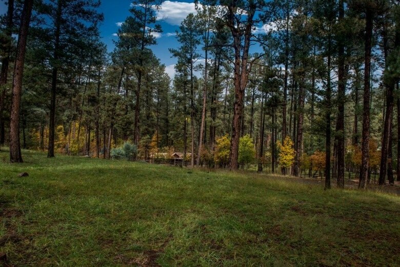 Bear Country Cabin