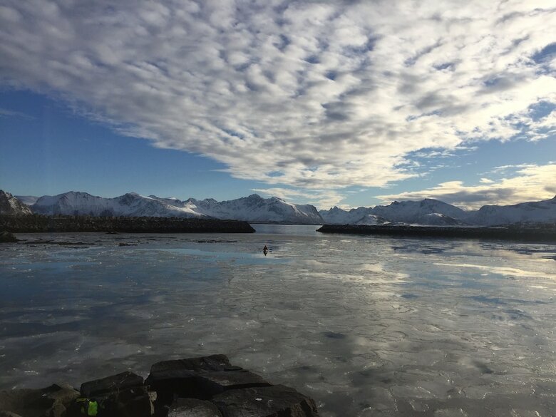 Apartamentos Villa Lofoten