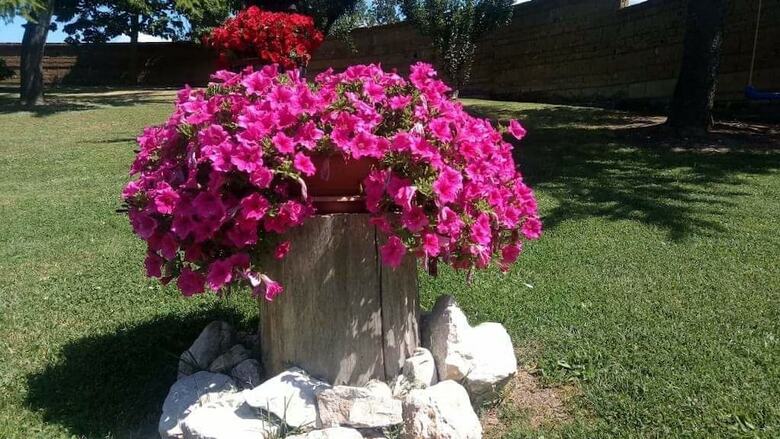 B&B L'aruccia Di Liliana