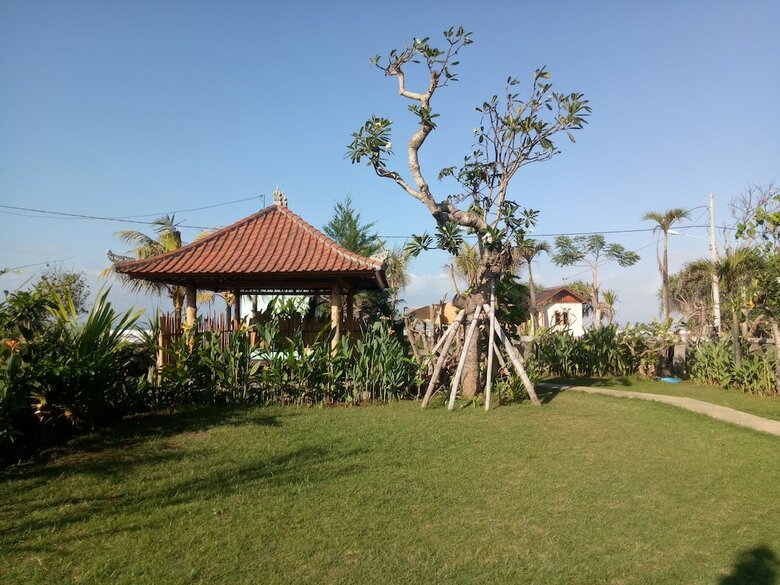 Bed & Breakfast Emir Surfcamp
