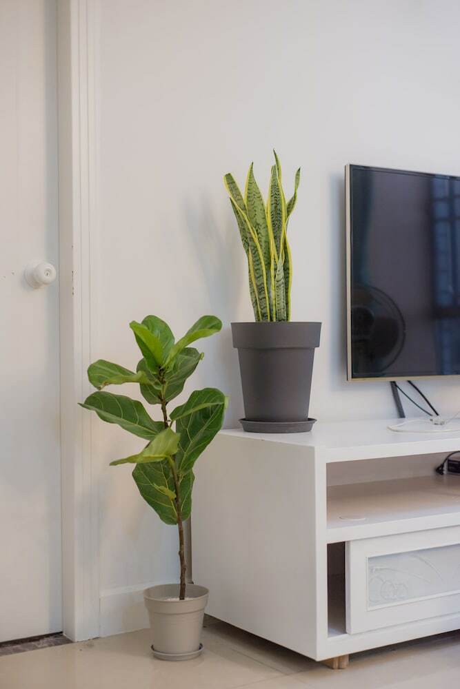 Shezhen Duwel Service Apartment Luohu