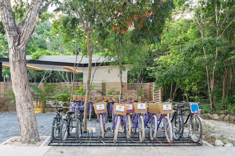 Apartamentos Casa Selva 1br Jungle Rooftop Oasis
