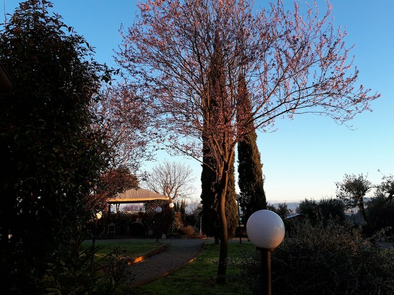 Bed & Breakfast I Poggiolo Di San Miniato