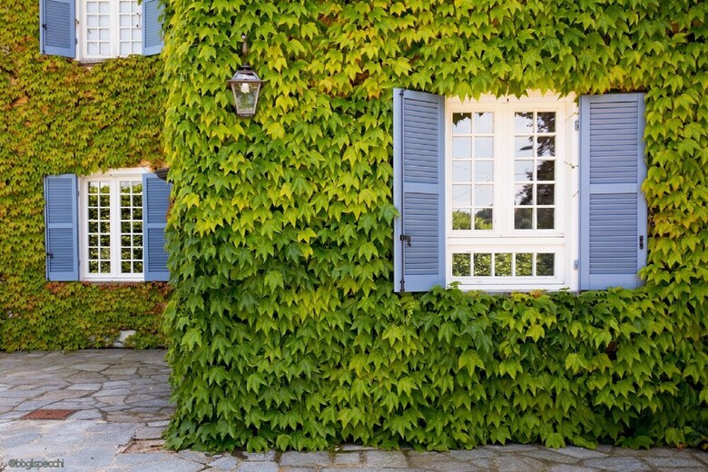 B&B Gli Specchi