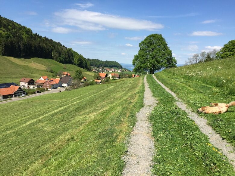 Hotel Landgasthaus B�ren