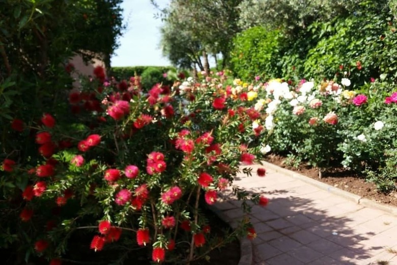 Villa In�s Garden