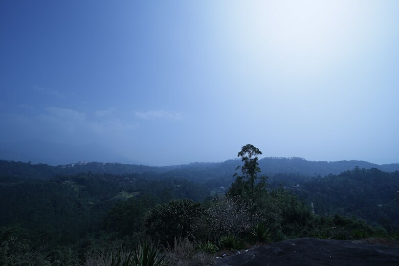 Hotel Munnar Breeze