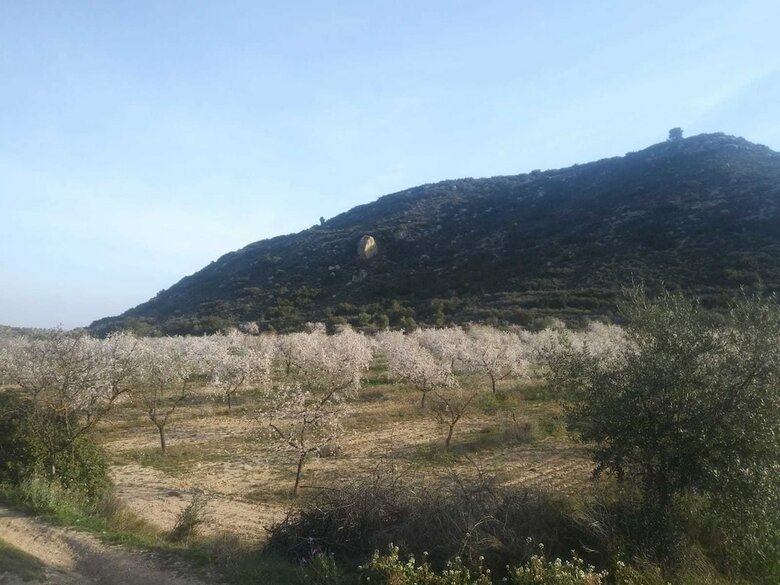 Agroturismo Espai Natural La Comanglora