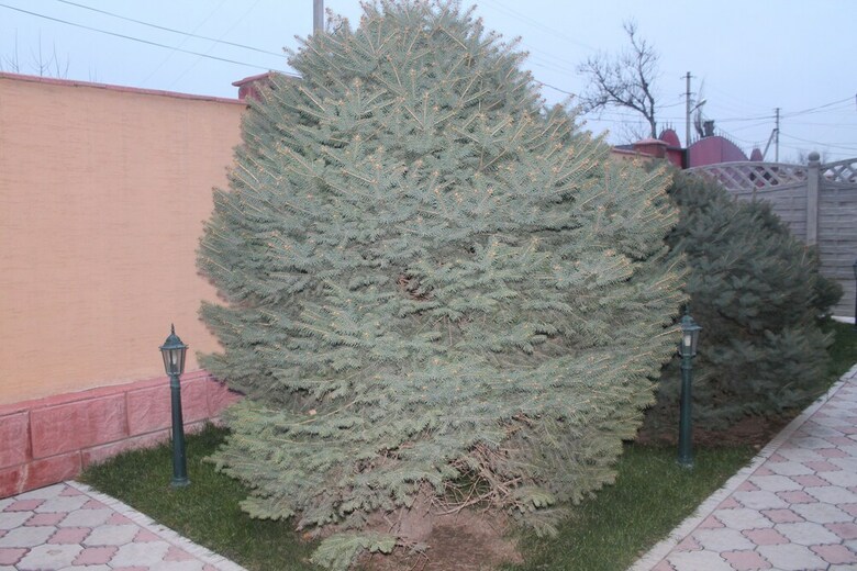 Hotel Voyazh
