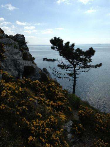 Apartamento Cap Morgat Chez Jean