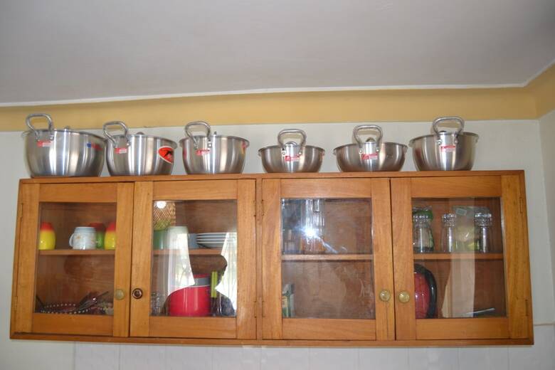 Apartamentos Jungle House