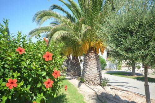 Apartamento Residencial Gran Vista