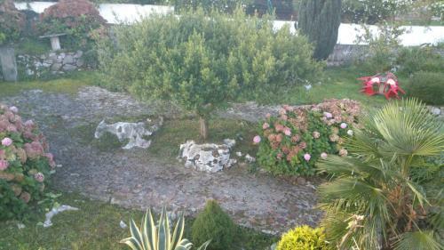 Hostal Pensi�n Mariaje