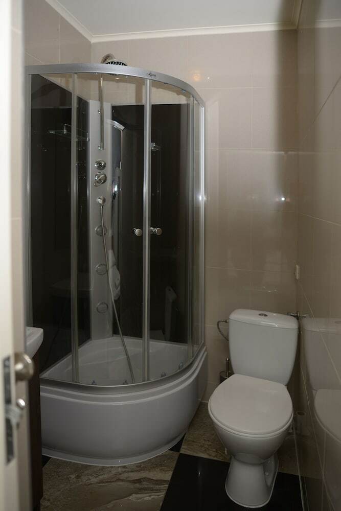 Hotel Pa?ac D?browa G�rnicza