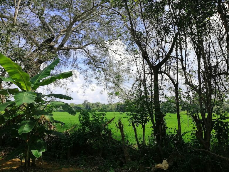 Bed & Breakfast Ama Villa Homestay