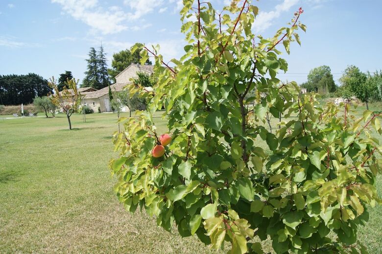 Mas En Pierres Dans Le Luberon