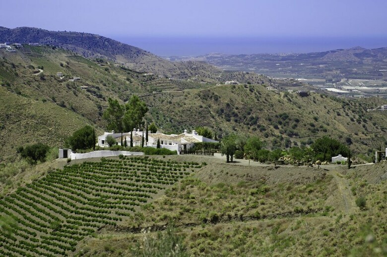 Villa The Carligto Estate