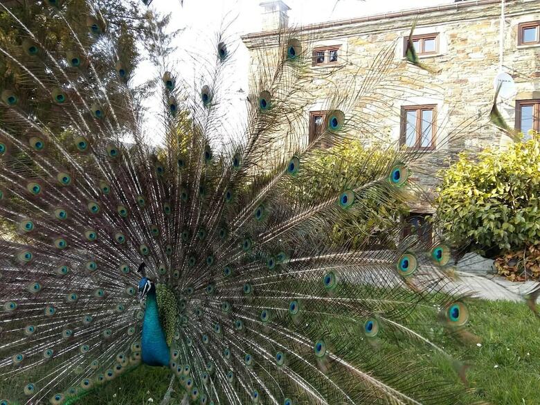 Agroturismo Casa Rural O Ventorrillo