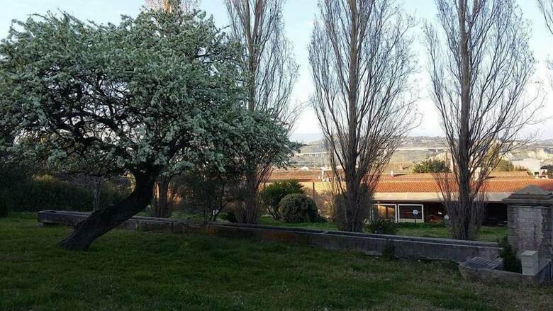 Agroturismo Il Pero Selvatico