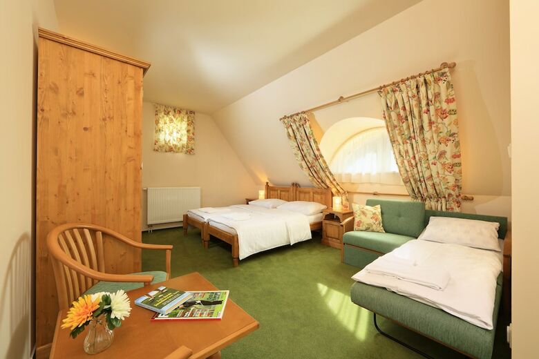 Bed & Breakfast Penzion ?ernick� Obora