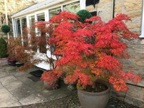 Bed & Breakfast Stilworth House