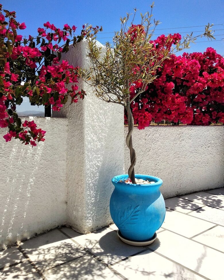Apartamentos Dedalos Studios Naxos