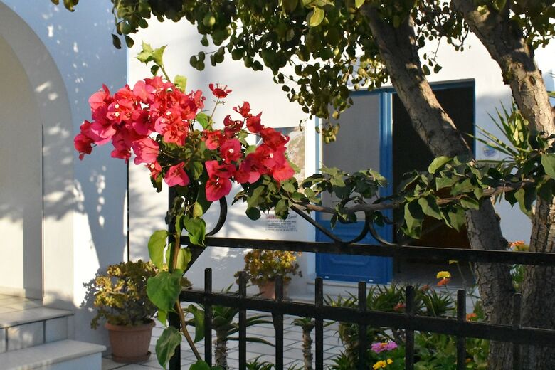 Apartamentos Dedalos Studios Naxos