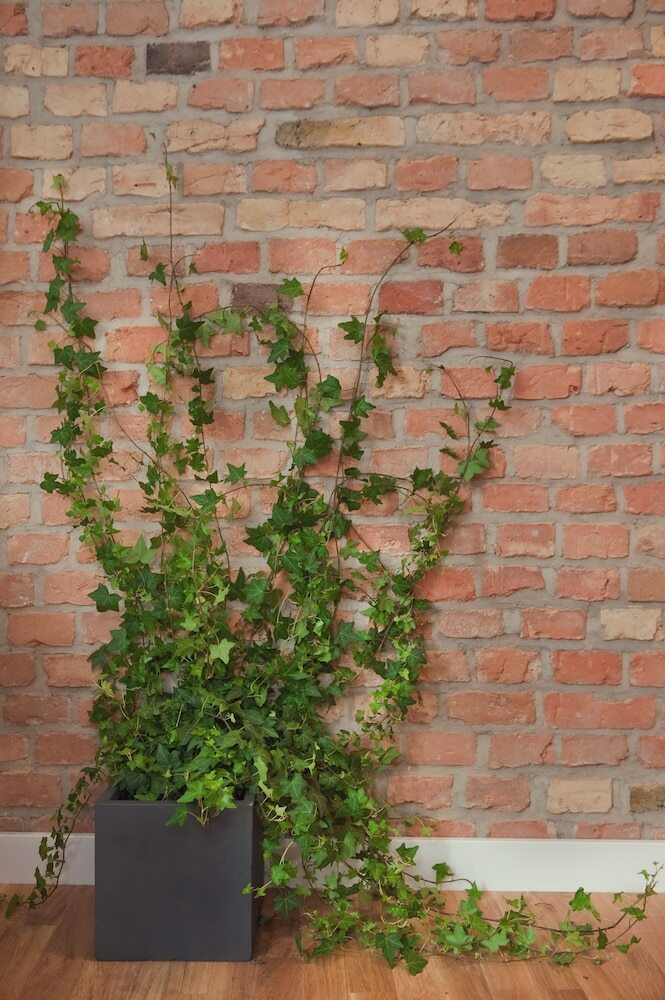 Apartamentos Projekt Piekary