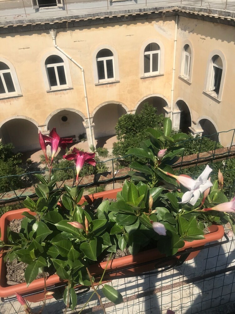 Bed & Breakfast Relais Il Chiostro