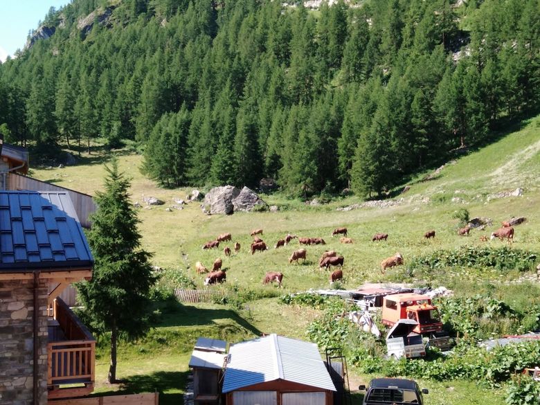 Hotel H�tel Le D�me