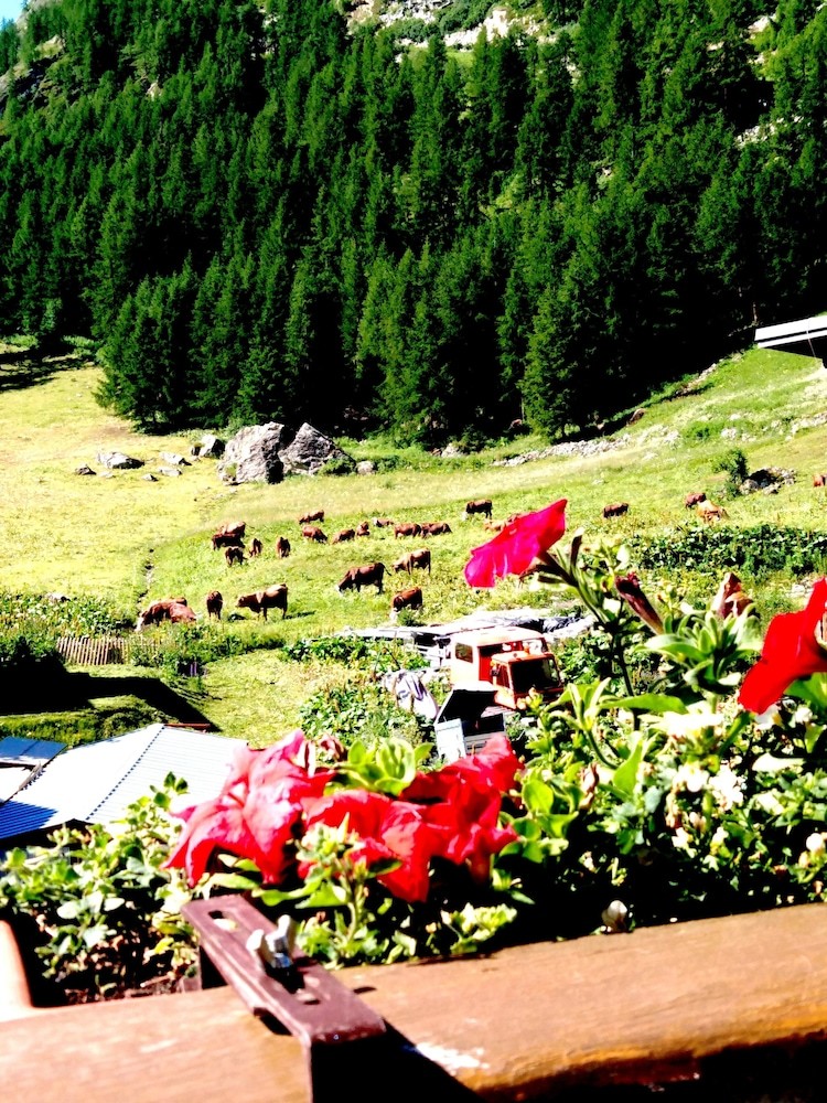 Hotel H�tel Le D�me