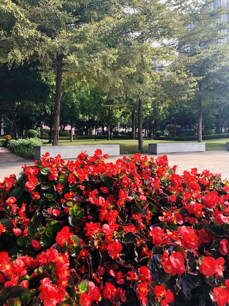 Aparthotel Royal Stars Apartment Shamian Branch
