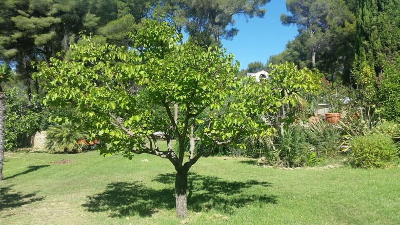 Bed & Breakfast Domaine Des Restanques