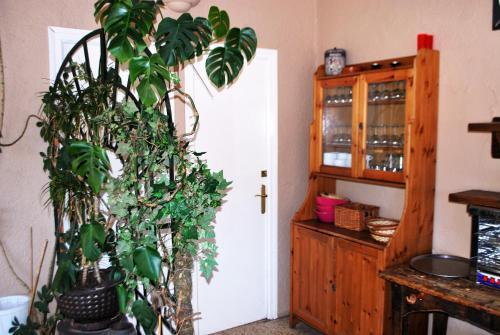 Hotel Roc De St Miquel