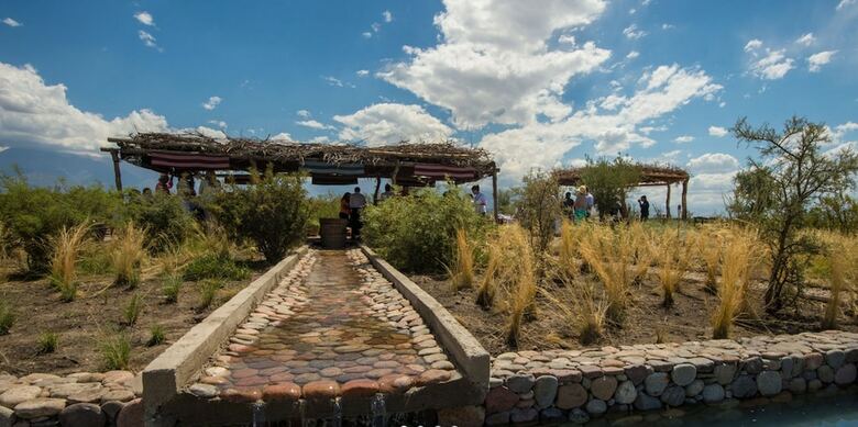 Hotel The Vines Resort & Spa