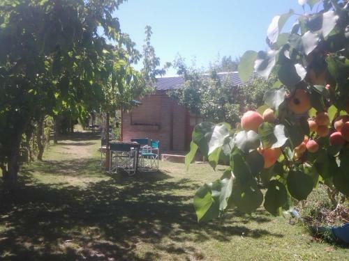 Lodge Complejo Los Ciruelos