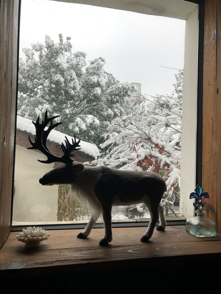 Hotel Xinsu West Lake Inn