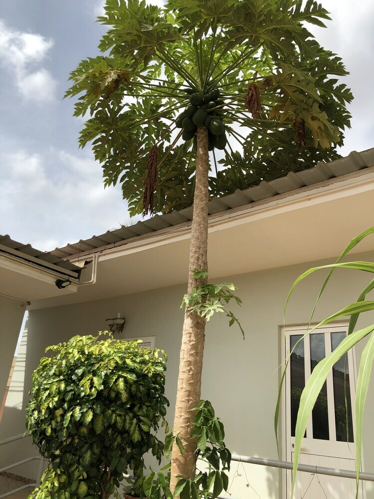 Hotel Guest House Terezinha