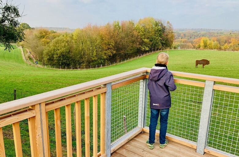 Apartamentos Besotel