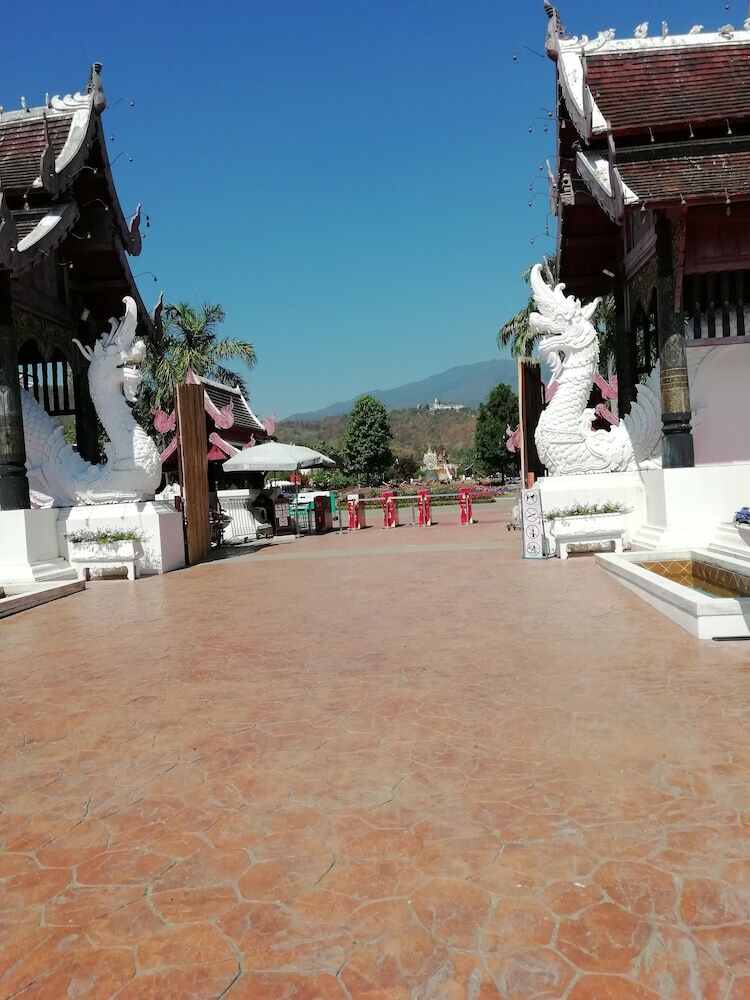 Hotel Longan Tree