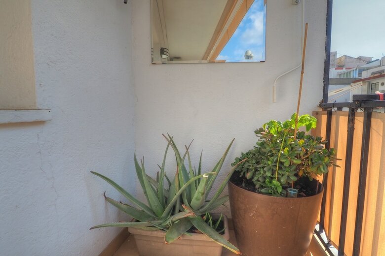 Orquidea Apartment