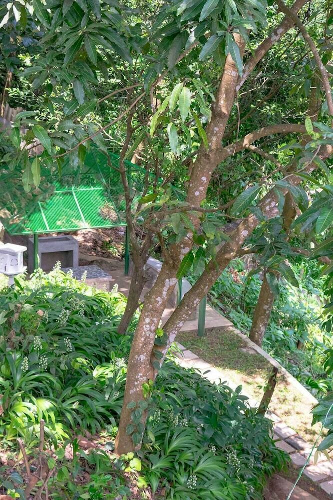 Bed & Breakfast Oriole Kandy